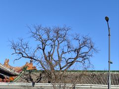 -潭柘寺景区