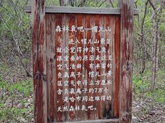 -帽儿山风景区