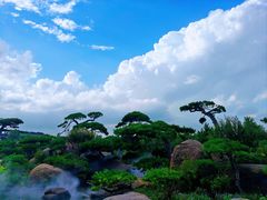 -罗红摄影艺术馆