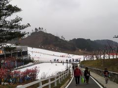 -广元曾家山国际滑雪场