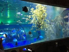 -梦幻海洋王国(吾悦广场张家港店)