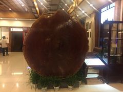 -庐山天沐温泉度假村