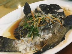 -渔傅·蓝海岸霞浦海鲜(正祥店)