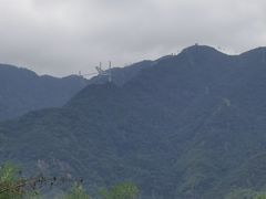 -李东农庄(中南百草园地标店)
