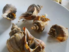 -海味当家·蒸锅海鲜(星海公园店)