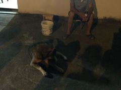 -杭州天目山静雅居农家乐