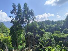 -梭布垭石林景区