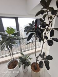 -HEYAN荷妍专业脱毛连锁机构