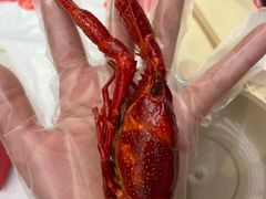 -肥肥虾庄·金牌油焖大虾(汉口城市广场店)