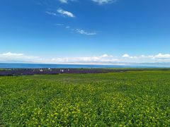 -青海湖国家重点风景名胜区