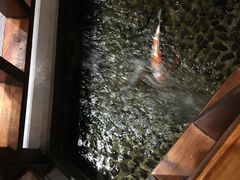 -尺山寸水日料(马桥满天星店)