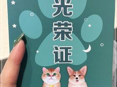 -睿金宠物医院·CT·肿瘤·骨外科