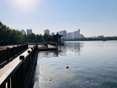-莲花池公园