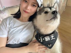 -Husky Go! 哈士奇体验馆·宠物咖啡厅狗咖