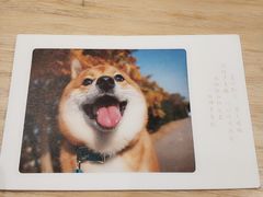 -猫的天空之城概念书店(北戴河蔚蓝海岸店)