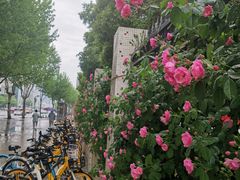-黄浦路(地铁站)