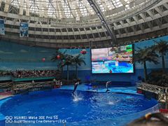 -海合安成都极地海洋公园