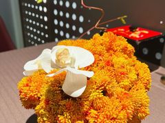 -肆月河豚·新淮扬菜·烤鸭(中关村店)