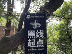 -天鹿湖森林公园