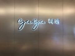 -gaga(深圳南山益田假日广场店)