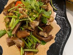 拍沙姜芫茜捞鹅掌翼-粤食堂(天津和悦汇店)