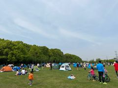 -昆山城市生态森林公园