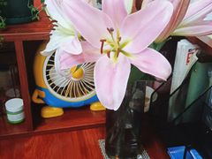 -张钰强中医正骨推拿连锁(唐家人才公寓店)