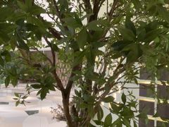 -静耳元気采耳·按摩·SPA(万象前海店)