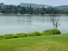 -羊山湖公园