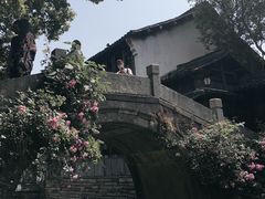 -乌镇东栅景区