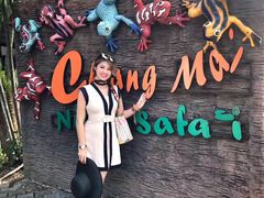 -清迈夜间动物园