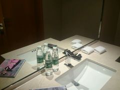 -成都明宇丽雅饭店