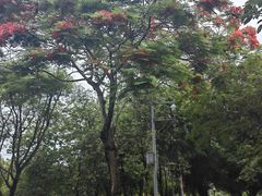 -广东花都湖国家湿地公园