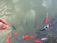-海南文笔峰盘古文化旅游区