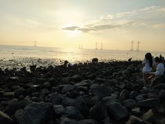 -宝安西湾红树林湿地公园