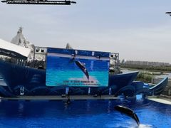 -上海海昌海洋公园
