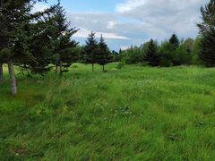 -昂昂溪遗址博物馆