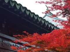 -檀园