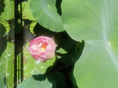 -莫催咖啡