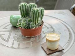 dirty-谷咖啡·鲜花绿植花园餐厅