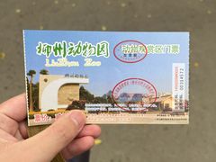 -柳州市动物园