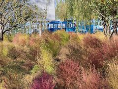 -野鸭湖国家湿地公园