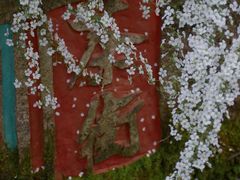 -中国茶叶博物馆(双峰馆区)