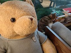 -咖法森林·咖啡  酒吧(天河店)