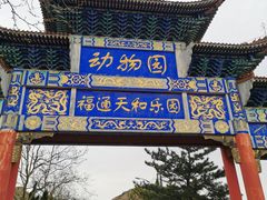 -西霞口神雕山野生动物世界