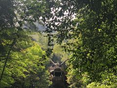 -山沟沟景区