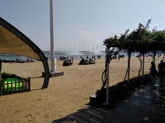 -碧海金沙