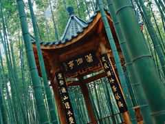 -蜀南竹海景区