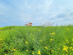 -光明小镇欢乐田园