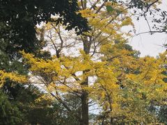 -金堂县云顶石城风景区